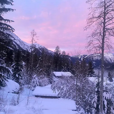 Beautiful New Flat By The Forest Apartment *