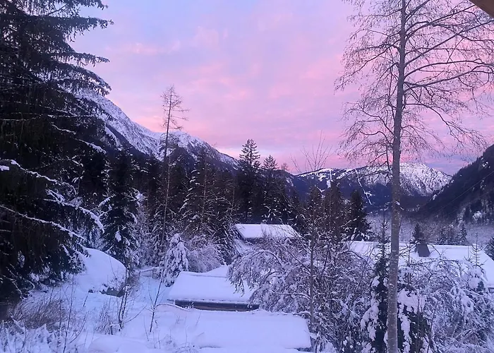 Beautiful New Flat By The Forest Apartment *