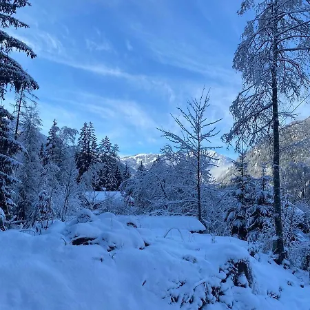 Beautiful New Flat By The Forest