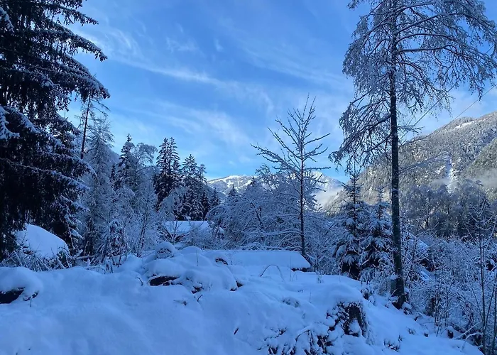 Beautiful New Flat By The Forest